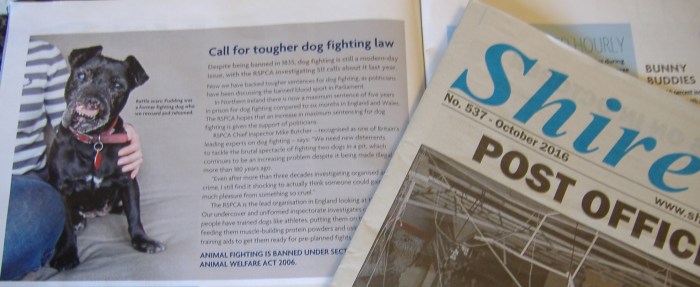 rspca-newspaper
